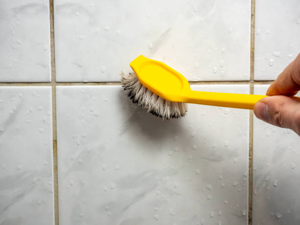 Best Emergency Mold Remediation in Forsyth, MO