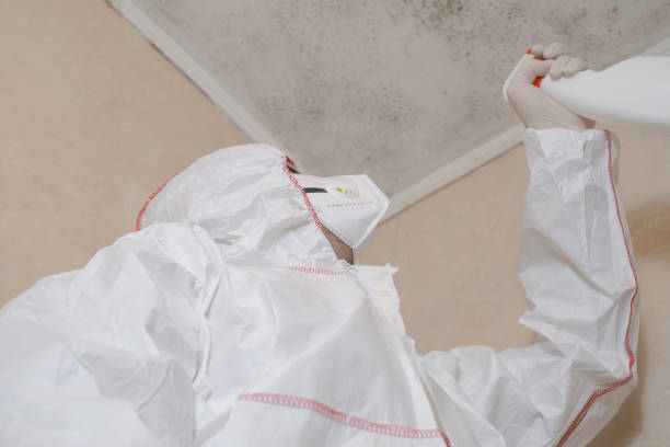 Best Mold Testing and Inspection Services in Forsyth, MO